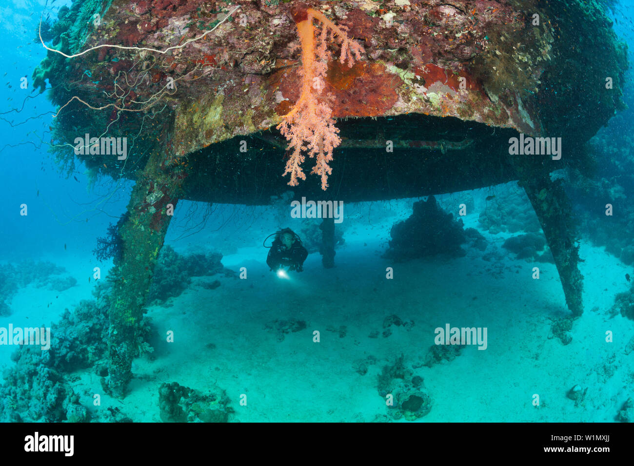 Plongée sous-marin Cousteaus Precontinent II, Shaab Rumi, Mer Rouge, au Soudan Banque D'Images