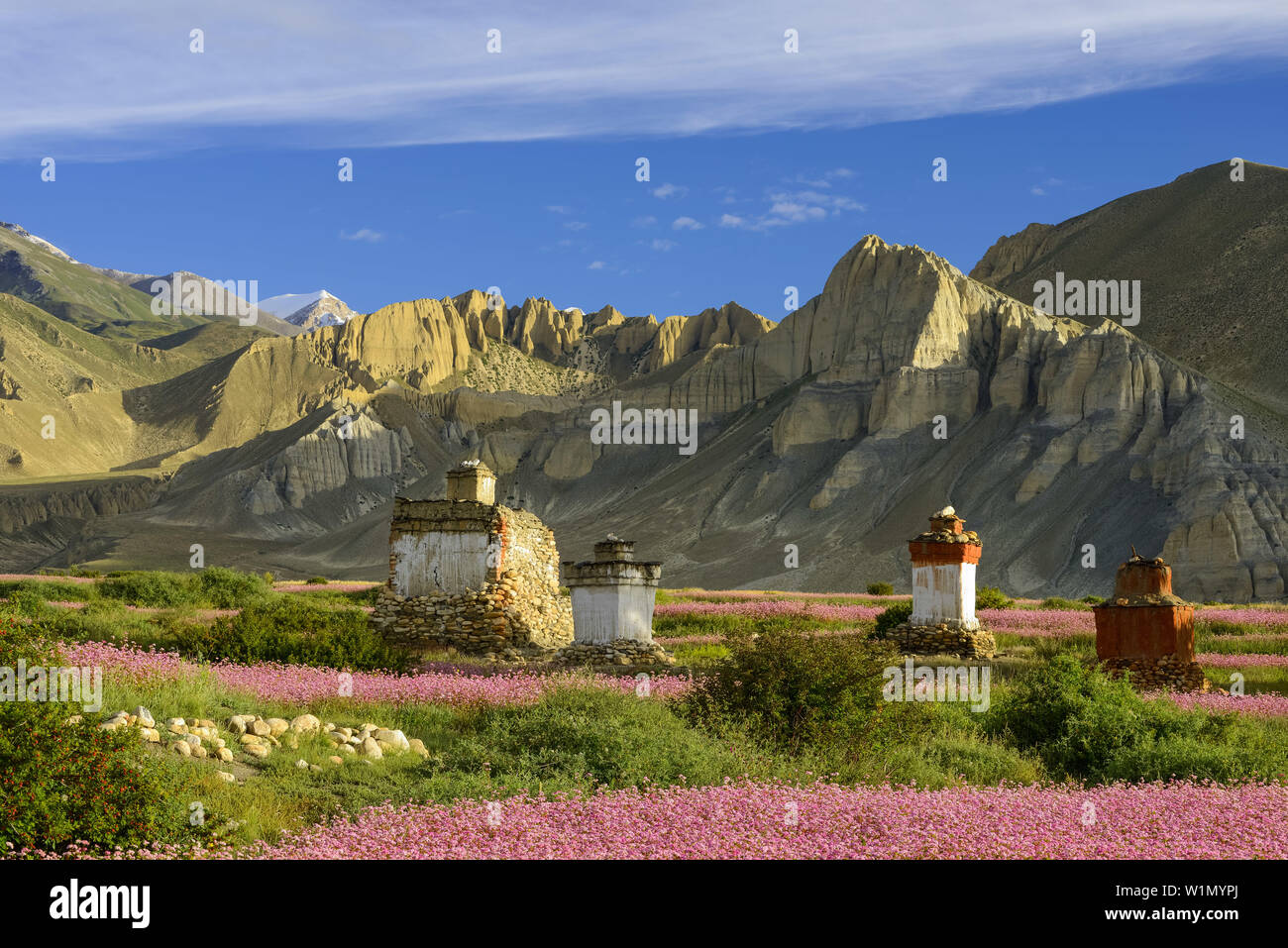 Stupas et chorten en Tsarang, Charang tibetian, village avec un Gompa bouddhiste à la vallée de la Kali Gandaki, la plus profonde vallée au monde, fi fertile Banque D'Images