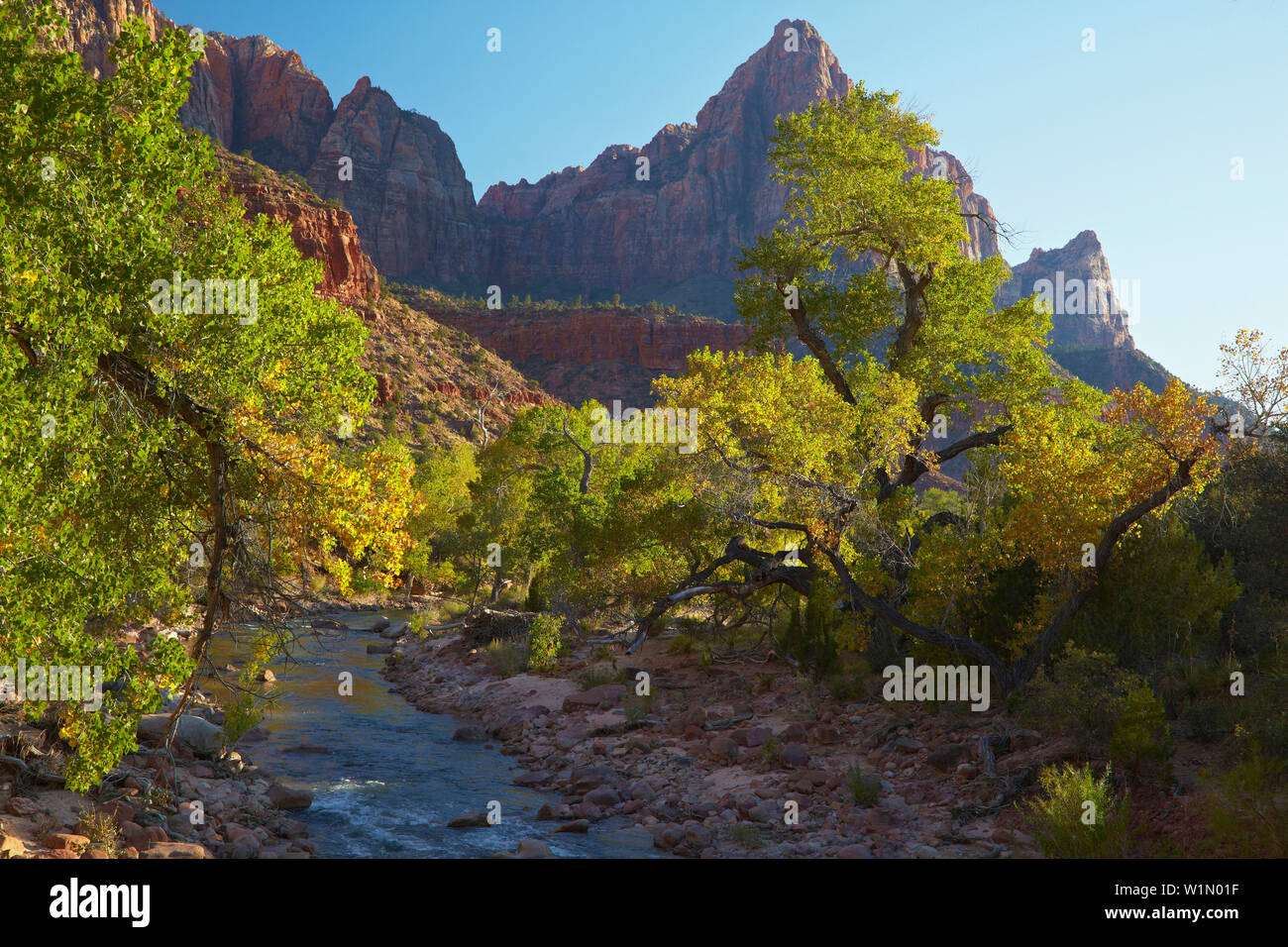 , Virgin River North Fork , Pa' rus Trail , Zion National Park , Utah , Arizona , Etats-Unis , Amérique Banque D'Images