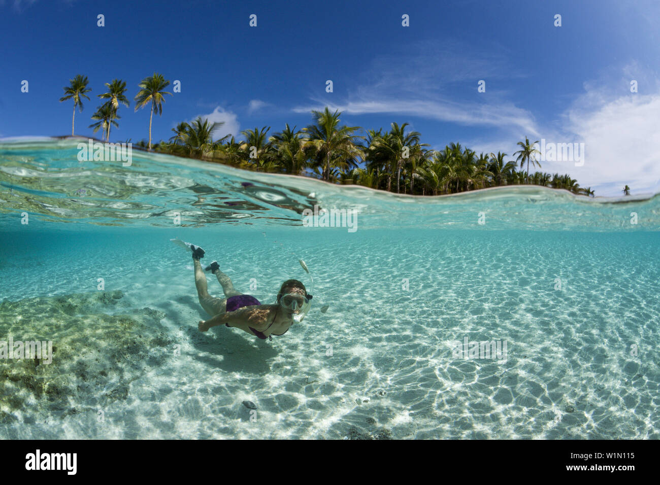 Plongée avec tuba au large de l'île bordée de palmiers, Fadol, Kai, îles Moluques, Indonésie Banque D'Images