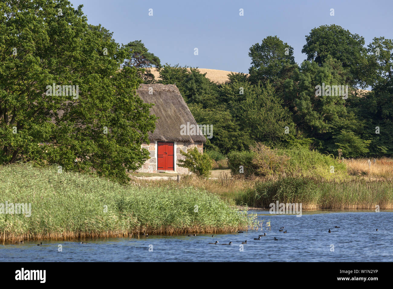 Harbour Selsø sur le fjord de Roskilde Bay, île de la Nouvelle-Zélande, de la Scandinavie, le Danemark, le nord de l'Europe Banque D'Images