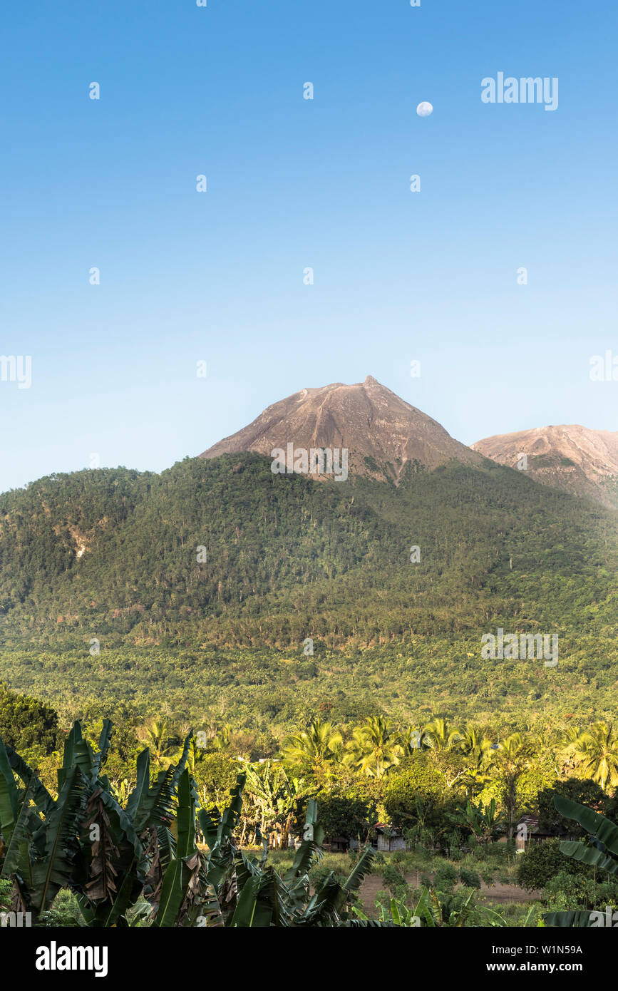 Cône d'un volcan éteint, palmier, champs et forêts, avec la pleine lune au cours de la journée, île de Flores, en Indonésie Banque D'Images