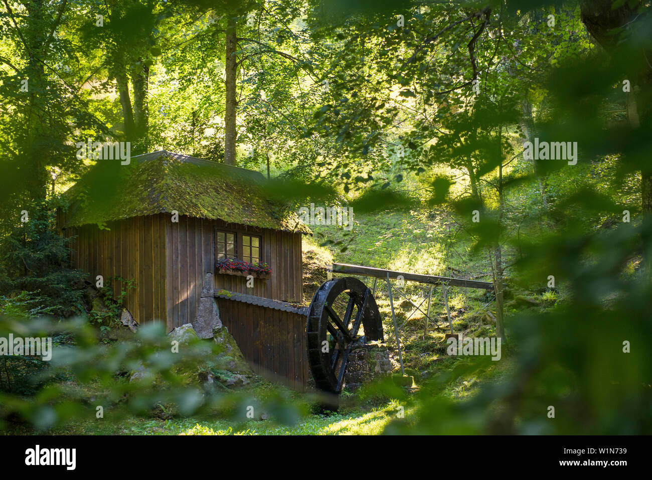 Ancien moulin, Bad Wildbad, Forêt-Noire, Bade-Wurtemberg, Allemagne Banque D'Images