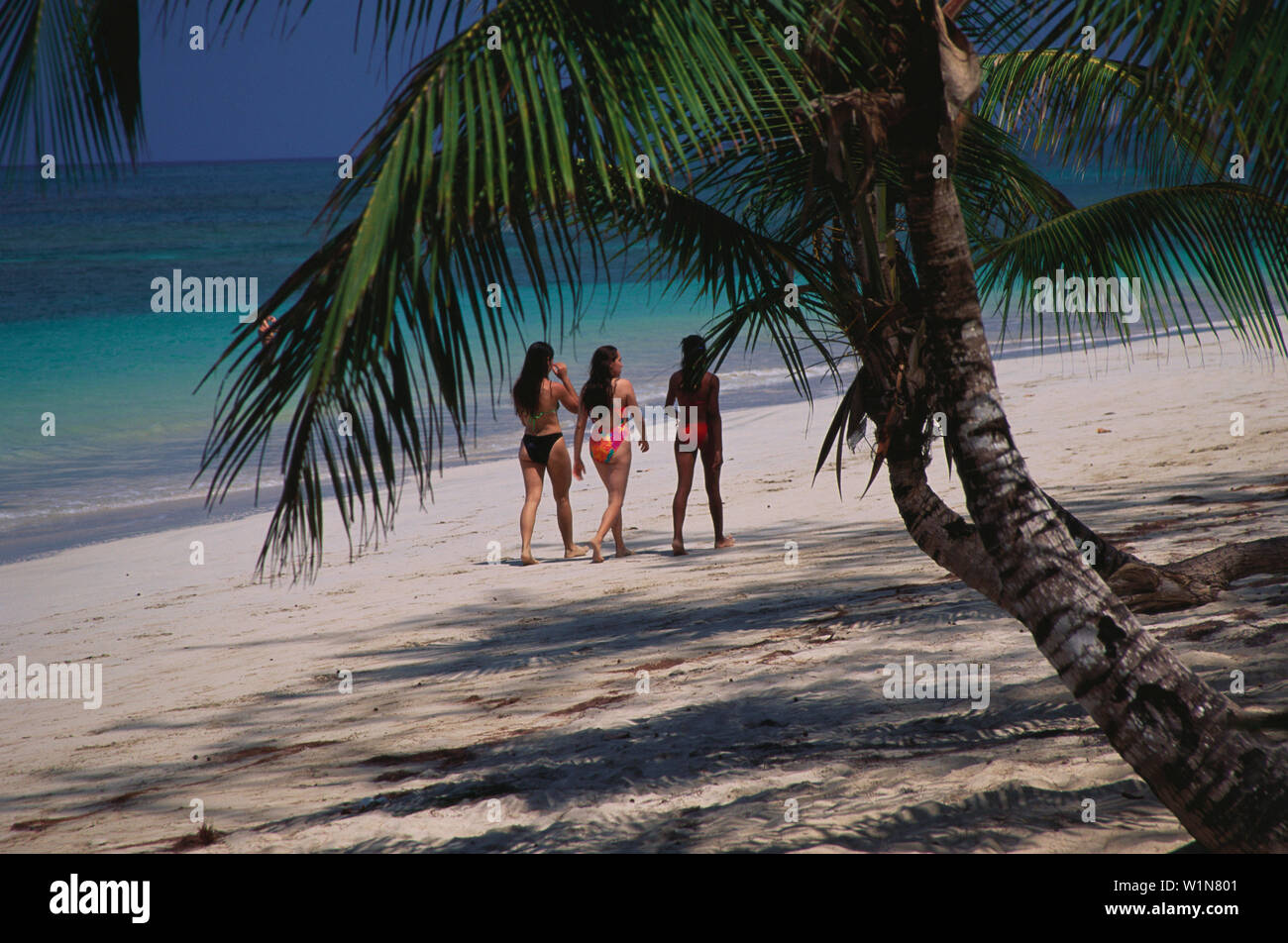 Strand, Kokospalmen Karibik Dominikanische Republik, Banque D'Images