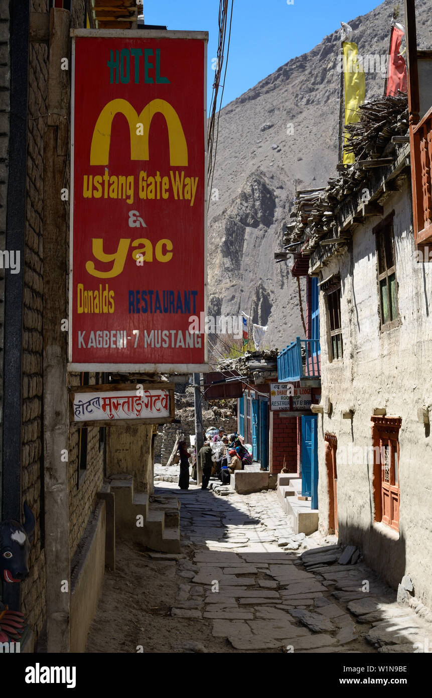 Yak Donald's à Kagbeni, village au circuit de l'Annapurna Trek avec un Gompa bouddhiste dans la vallée de la Kali Gandaki, la plus profonde vallée au monde, doit Banque D'Images
