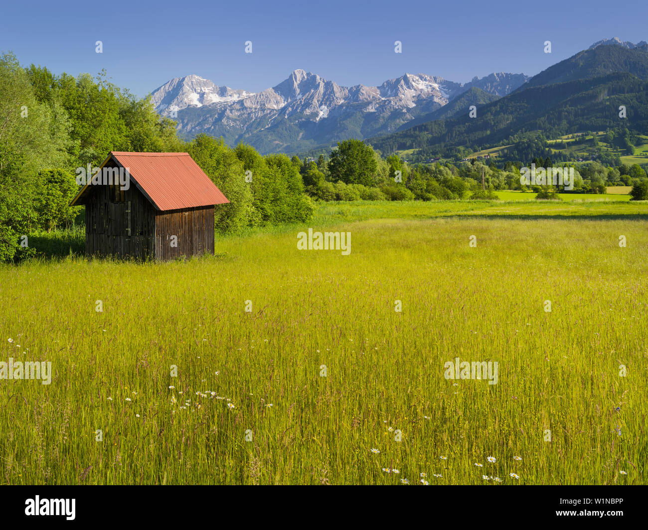 Prairie, cabane, Haller Mauer, Ennstal, Styrie, Autriche Banque D'Images