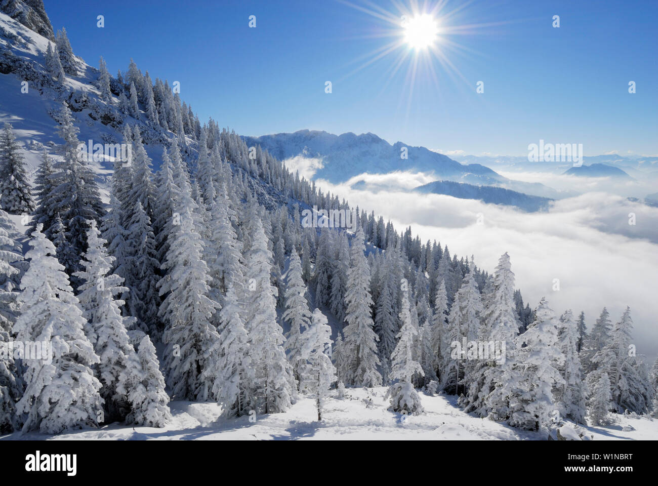 Vue sur la forêt de conifères couverts de neige et de brouillard sur la mer de la vallée de l'Inn, Wilder Kaiser, Kaiser Zahmer Kaiser, Tyrol, Autriche Banque D'Images