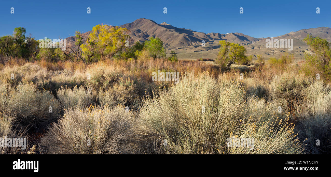 La vallée de la rivière Owens, Sierra Nevada, Californie, USA Banque D'Images