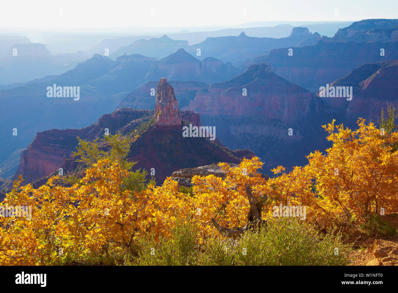 Point de vue impérial, Mt. Hayden , le Parc National du Grand Canyon , North Rim , Arizona , Etats-Unis , Amérique Banque D'Images