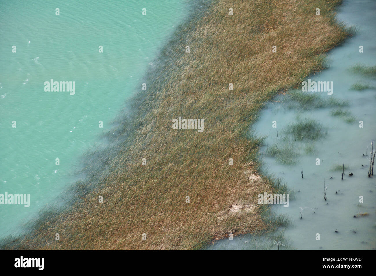 Dans l'île de Río Ibáñez près de Cerro Castillo, Carretera Austral, Región Aysén, la Patagonie, les Andes, au Chili, en Amérique du Sud Banque D'Images
