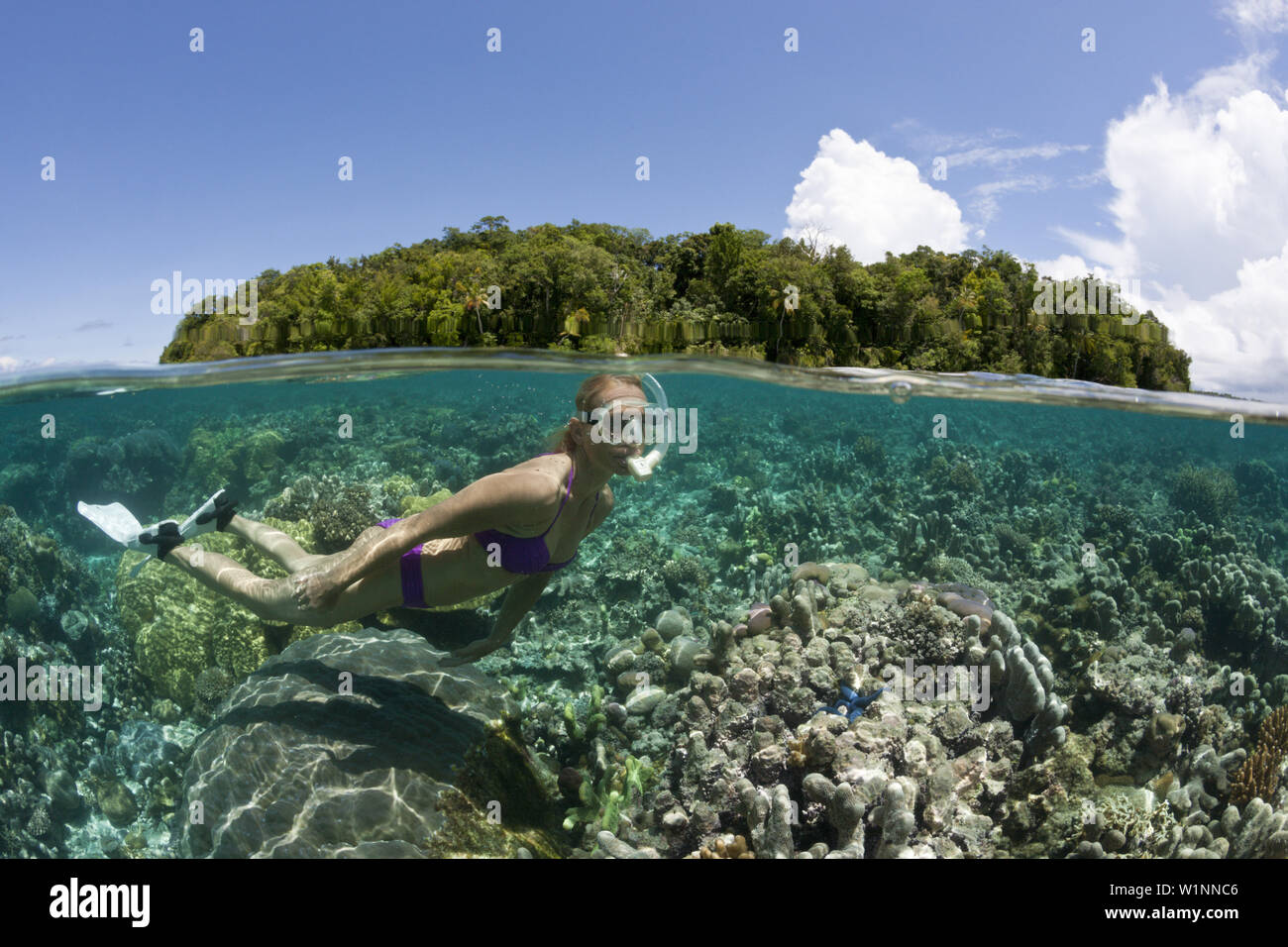 Snorkeling à Marovo Lagoon, Îles Salomon, Îles Salomon Banque D'Images