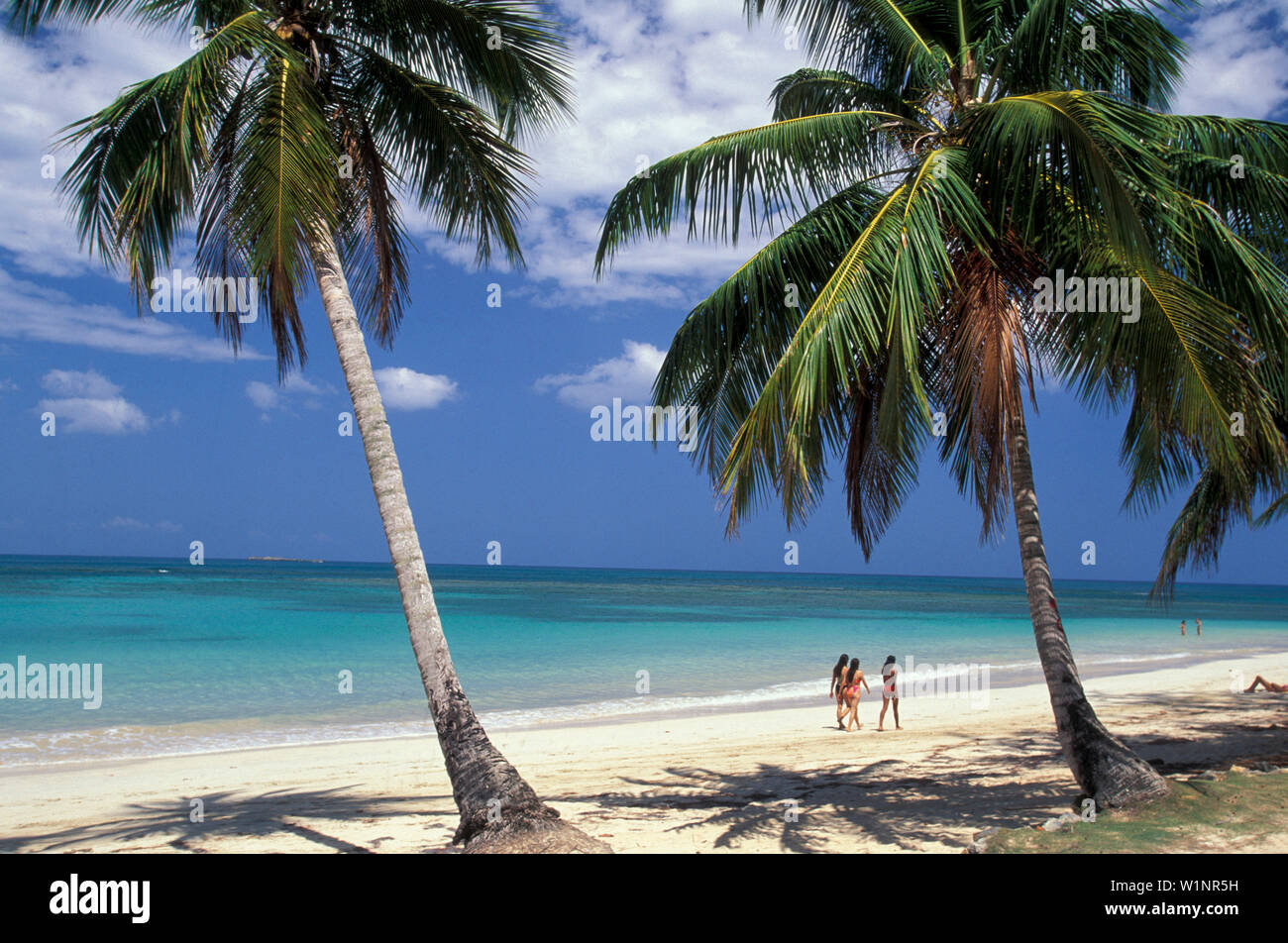 Palmenstrand Las Terrenas, Dominikanische Republik Europa, Amerika Banque D'Images