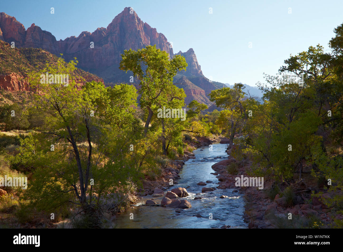 , Virgin River North Fork , Pa' rus Trail , Zion National Park , Utah , Arizona , Etats-Unis , Amérique Banque D'Images