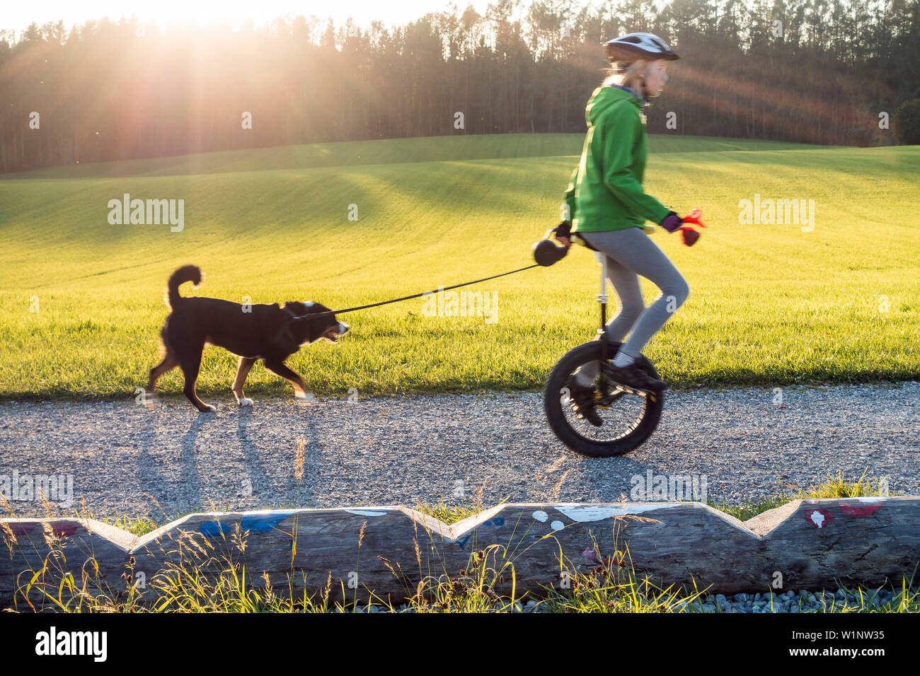 Fille, 14 ans, sur monocycle avec chien, Haute-Bavière, Allemagne Banque D'Images