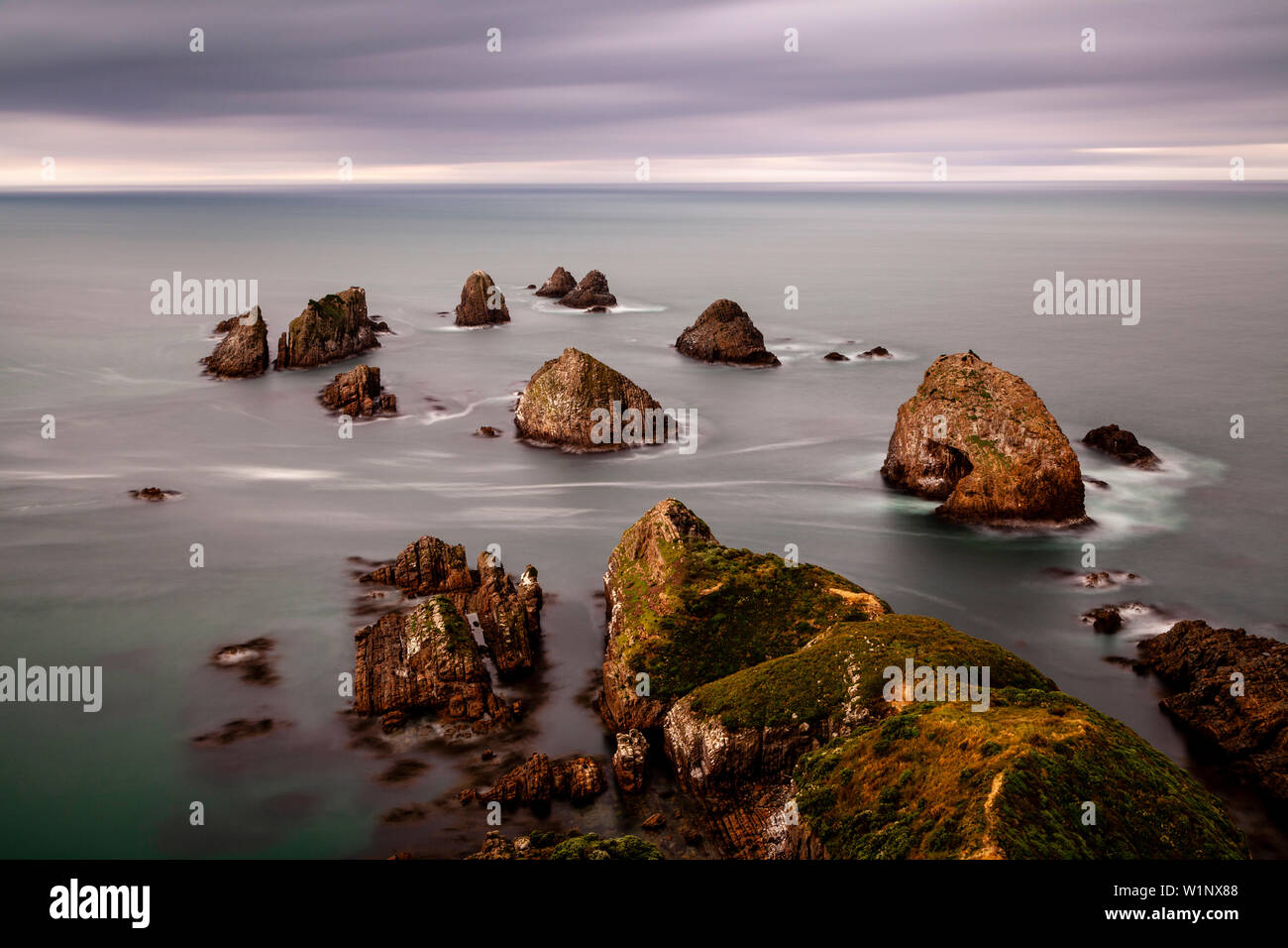 Nugget Point, les Catlins, île du Sud, Nouvelle-Zélande Banque D'Images