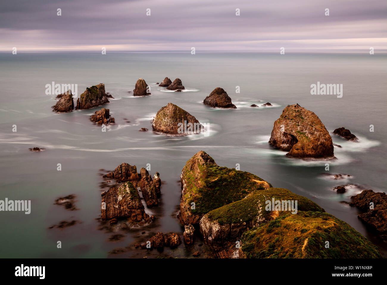 Nugget Point, les Catlins, île du Sud, Nouvelle-Zélande Banque D'Images