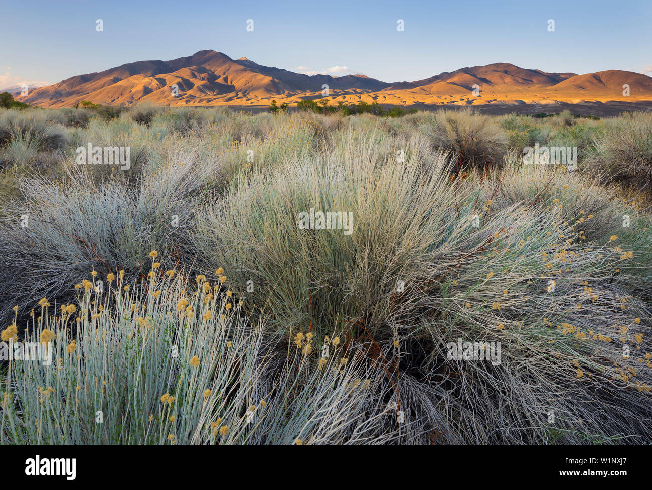 La vallée de la rivière Owens, Sierra Nevada, Californie, USA Banque D'Images