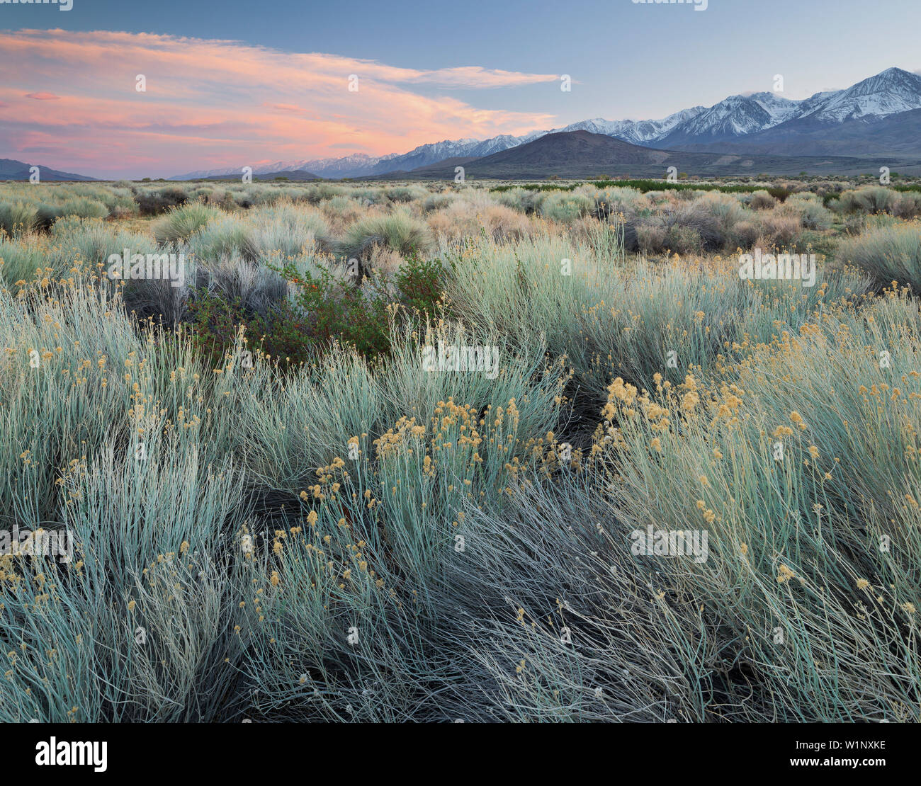 La vallée de la rivière Owens, Sierra Nevada, Californie, USA Banque D'Images