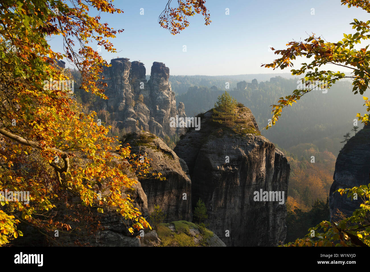 Goose Rocks à Bastei rocks, Parc National Suisse Saxonne, des montagnes de grès de l'Elbe, Saxe, Allemagne Banque D'Images