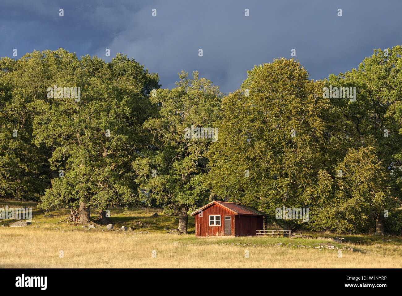 Red hut dans la zone de protection de la nature, Hjorthagen Mariefred, Stockholm, sud de la Suède, Suède, Scandinavie, Europe du Nord, Europe Banque D'Images