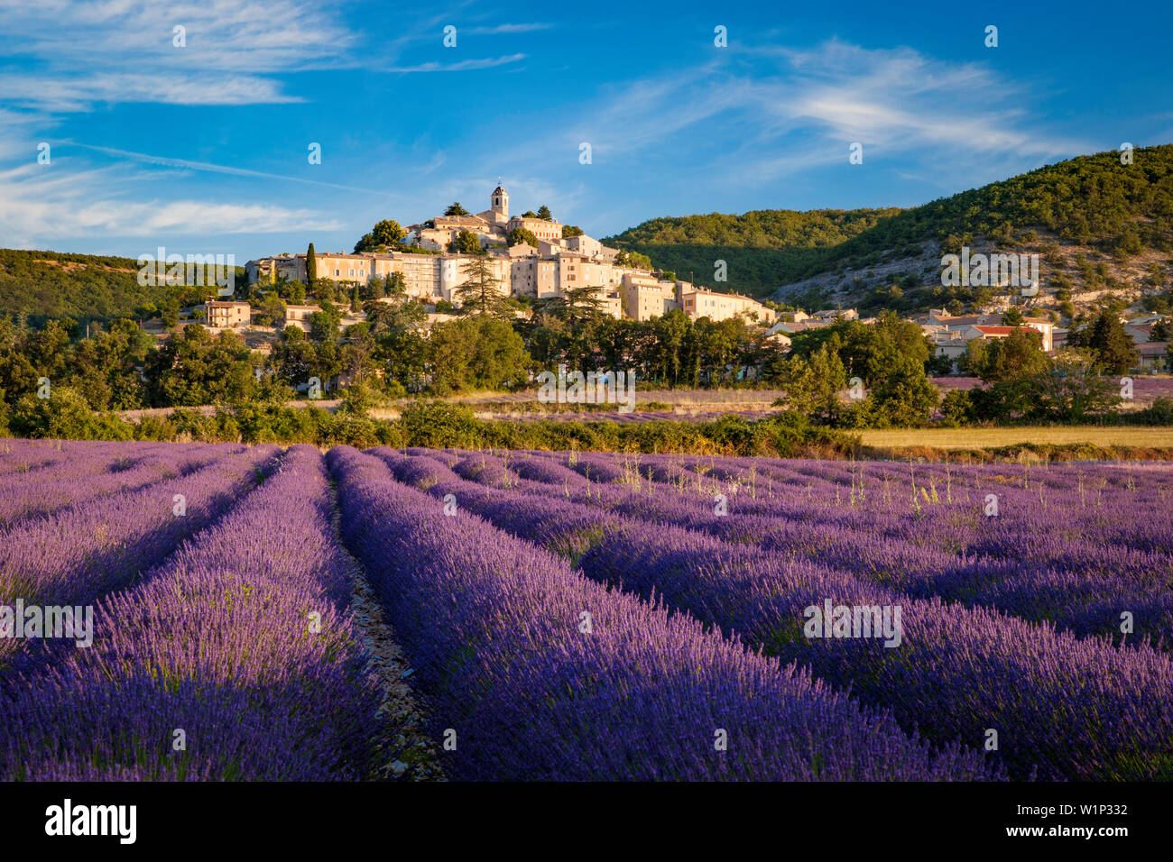 Tôt le matin, plus de champ de lavande sous le village médiéval de Banon dans le Vaucluse, Provence, France Banque D'Images