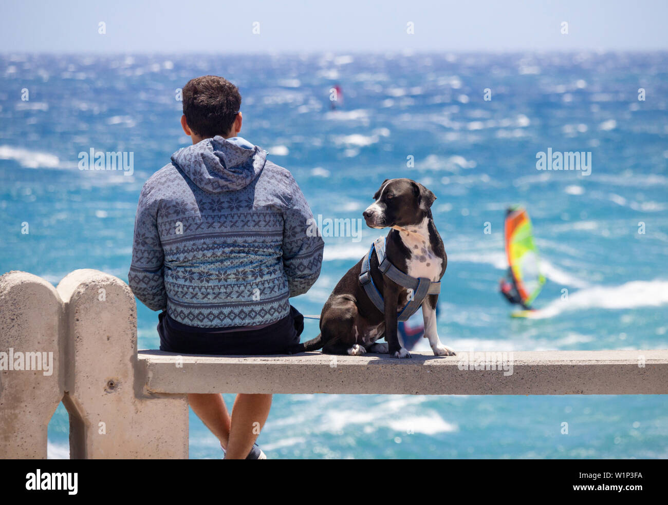 Pozo Izquierdo, Gran Canaria, Îles Canaries, Espagne. 3 juillet 2019. Planche à voile à 50 noeuds de vent. Un homme et son chien regarder la meilleure vague du monde marins qu'ils commencent à arriver en Pozo Izquierdo sur Gran Canaria en avant de la première étape de la PWA (Professional Windsurfers Association) 2019 tour du championnat du monde de voile vague qui commence le 12 juillet. Pozo est célèbre, et crainte par beaucoup, pour ses hurlements 50 knot vents d'été. Credit:Alan Dawson/Alamy Live News. Banque D'Images