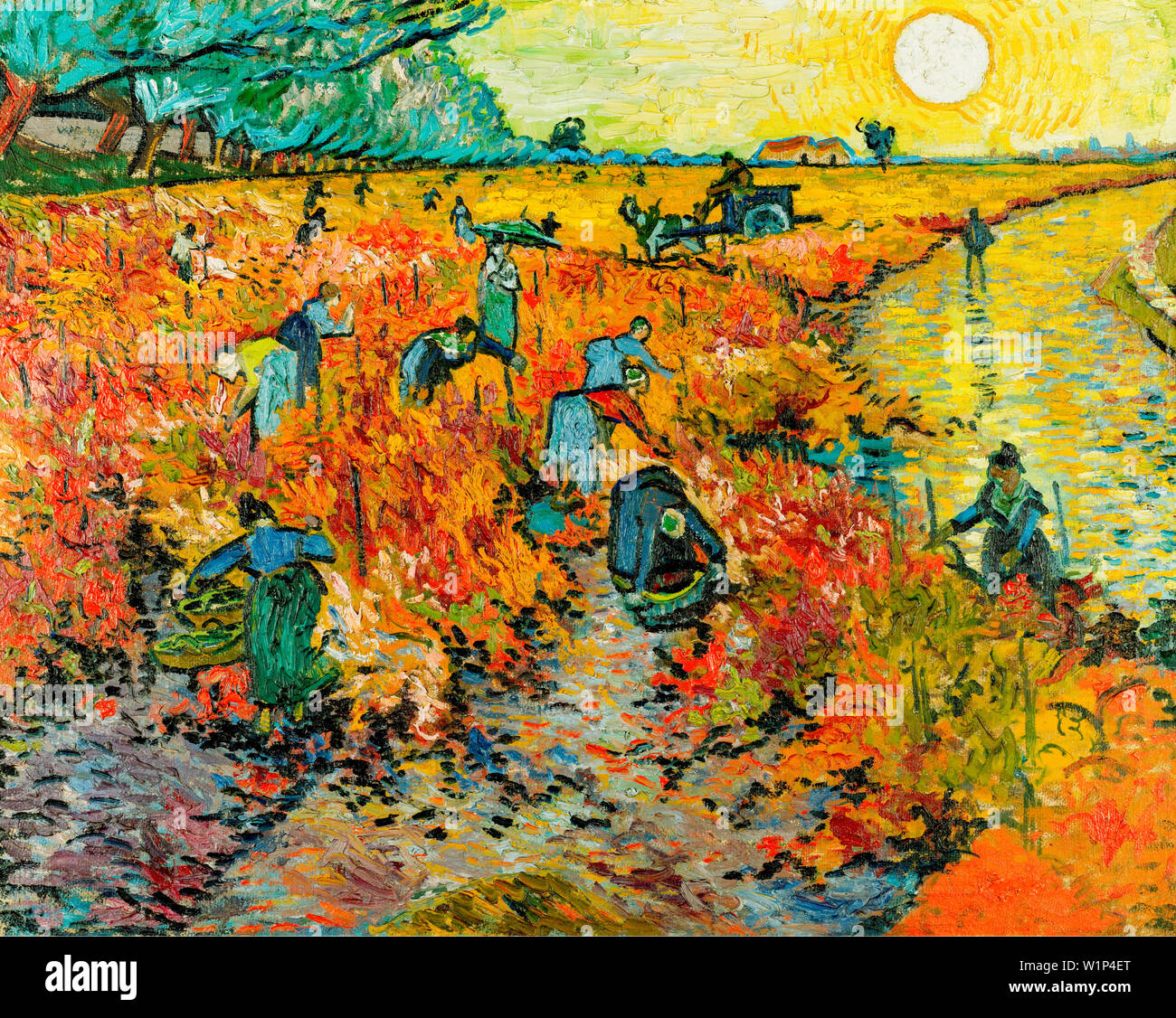 Vincent Van Gogh, Les Vignes rouges près d'Arles, la peinture de paysages, 1888 Banque D'Images