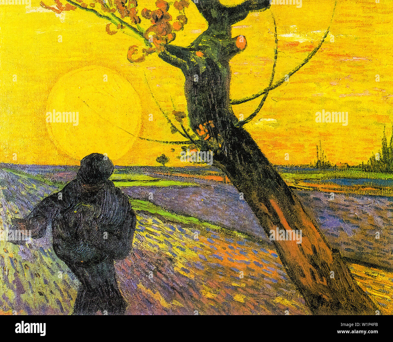 Vincent Van Gogh, Semeur au coucher du soleil, la peinture de paysage, 1888 Banque D'Images