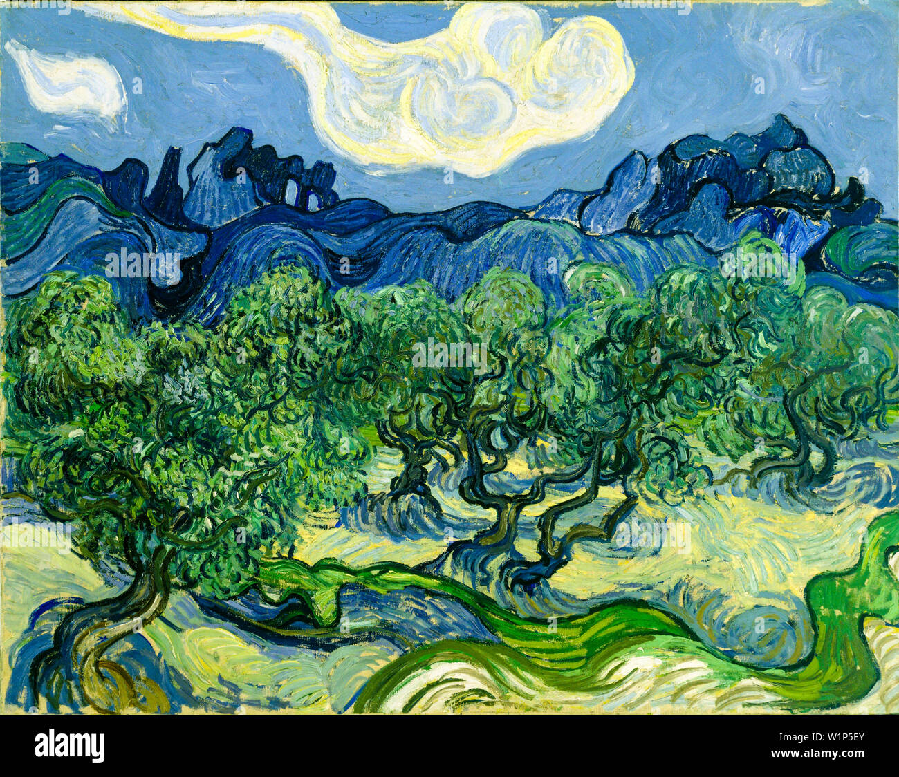 Vincent Van Gogh, les oliviers, peinture de paysage post-impressionniste, 1889 Banque D'Images