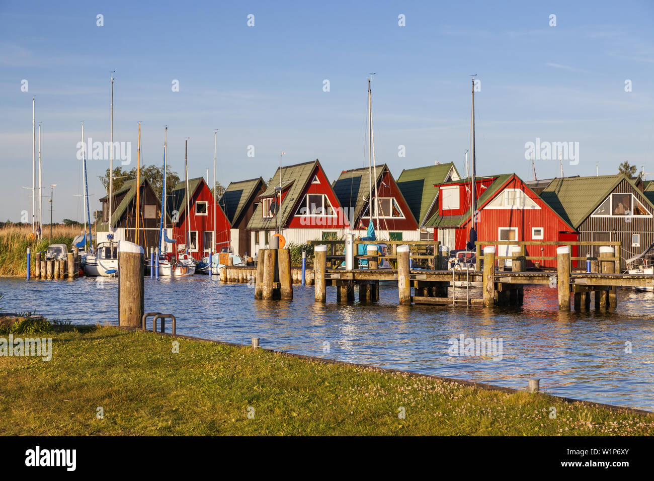 Dans le port, station balnéaire Baltique Althagen Ahrenshoop, Fischland-Darss-Zingst, côte de la mer Baltique, Mecklembourg-Poméranie-Occidentale, Allemagne du Nord, l'Allemagne, Banque D'Images