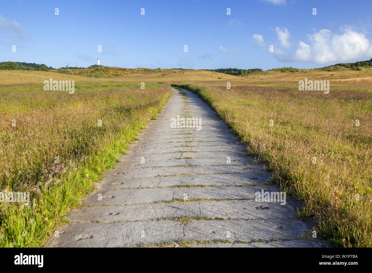 Façon de le phare sur l'Île, Dornbusch, Kloster Hiddensee, côte de la mer Baltique, Mecklembourg-Poméranie-Occidentale, Allemagne du Nord, l'Allemagne, l'europa Banque D'Images