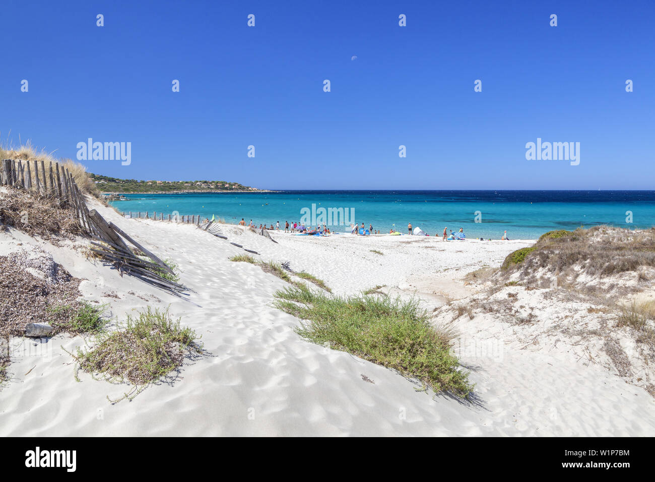 Sur les dunes près de la plage de Bodri Ile Rousse, Corse, sud de la France, France, Europe du Sud Banque D'Images