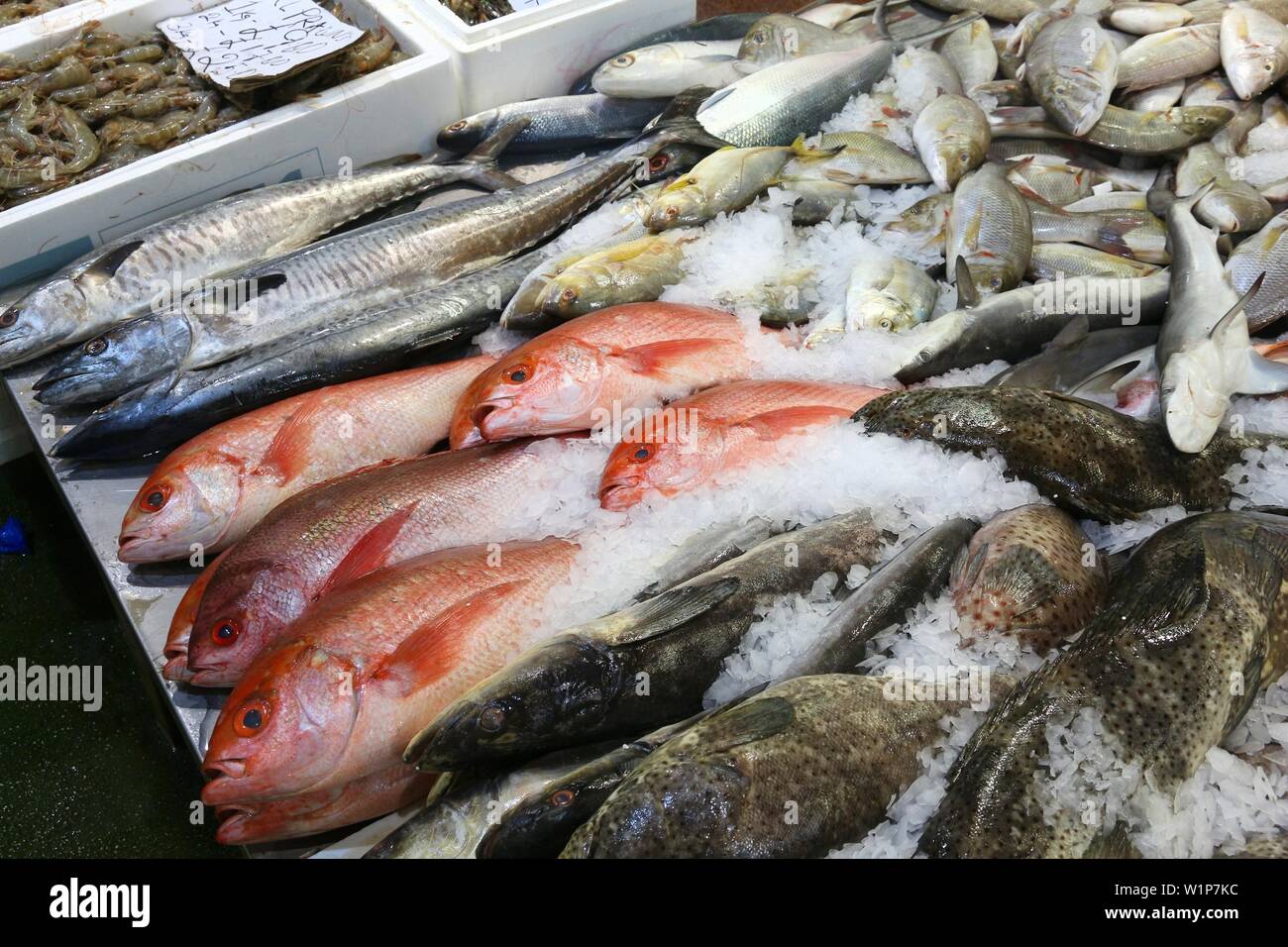 Fruits de mer au marché aux poissons de Billingsgate Peuplier, Londres, Royaume-Uni. Banque D'Images