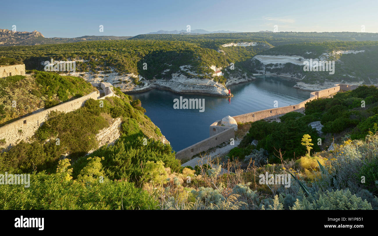 Baie de Bonifacio, département de Corse du Sud, Corse, France Banque D'Images