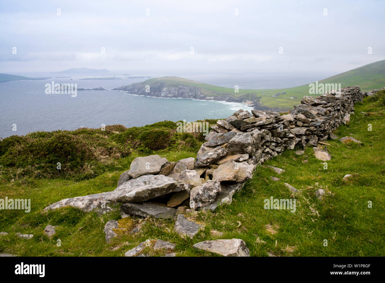 Un vieux mur de pierre guide la manière dont plus de la colline de la célèbre petite péninsule Slea Head avec Slea Head Beach sur une journée de printemps froid et gris vu de Banque D'Images