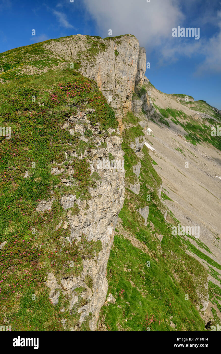 Falaise à Hoher Ifen, Hoher Ifen, Alpes, vallée de l'Allgaeu Walsertal, Vorarlberg, Autriche Banque D'Images