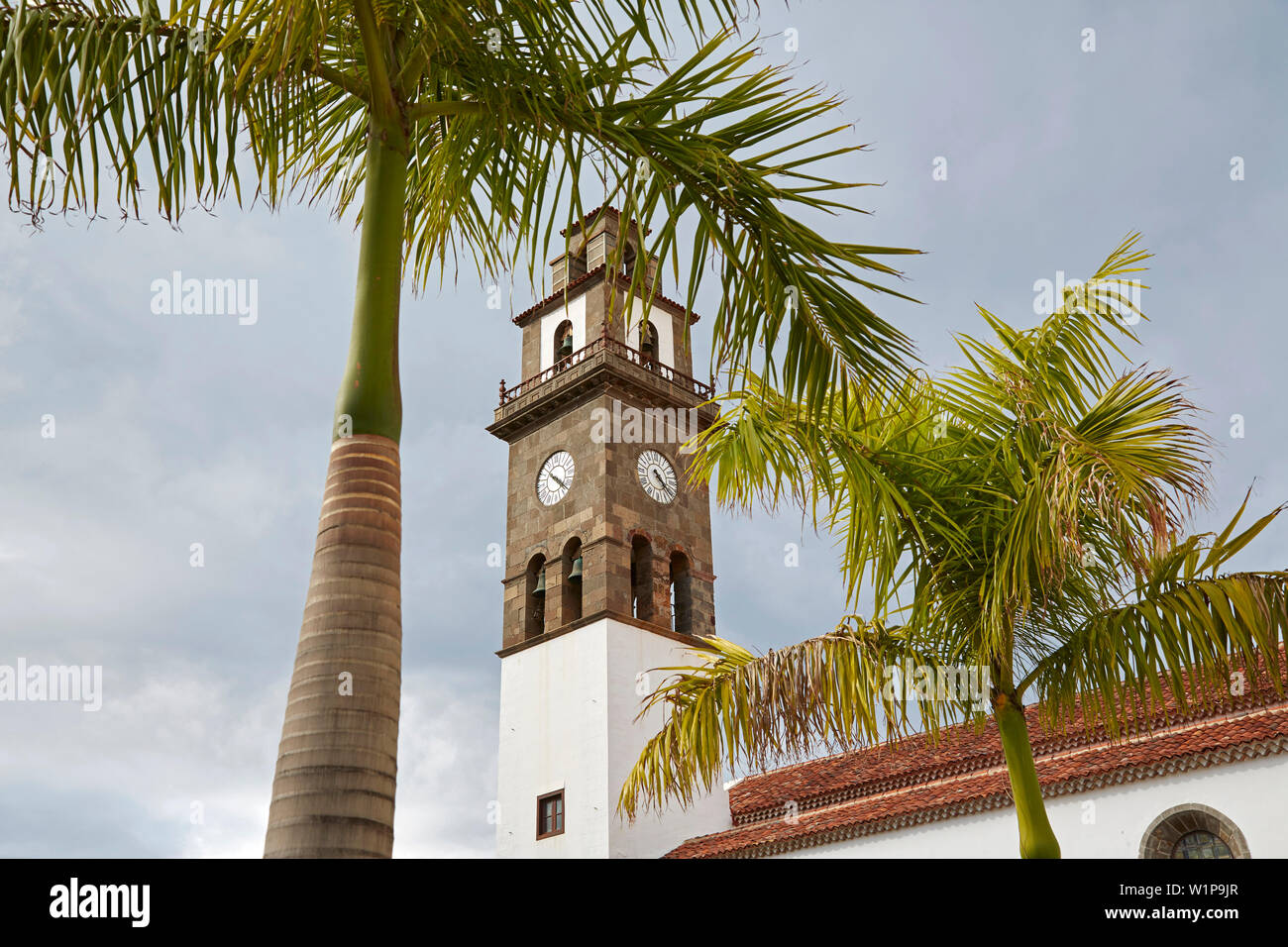 L'église et de palmiers à Buenavista del Norte, Tenerife, Canaries, Islas Canarias, Océan Atlantique, l'Espagne, Europe Banque D'Images