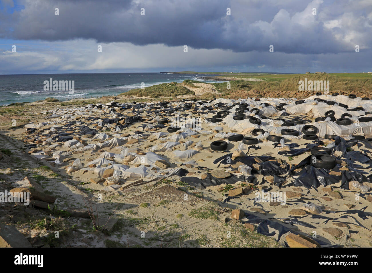 Liens de Noitland site de fouilles néolithiques couverts jusqu'en Écosse Orcades Westray Banque D'Images
