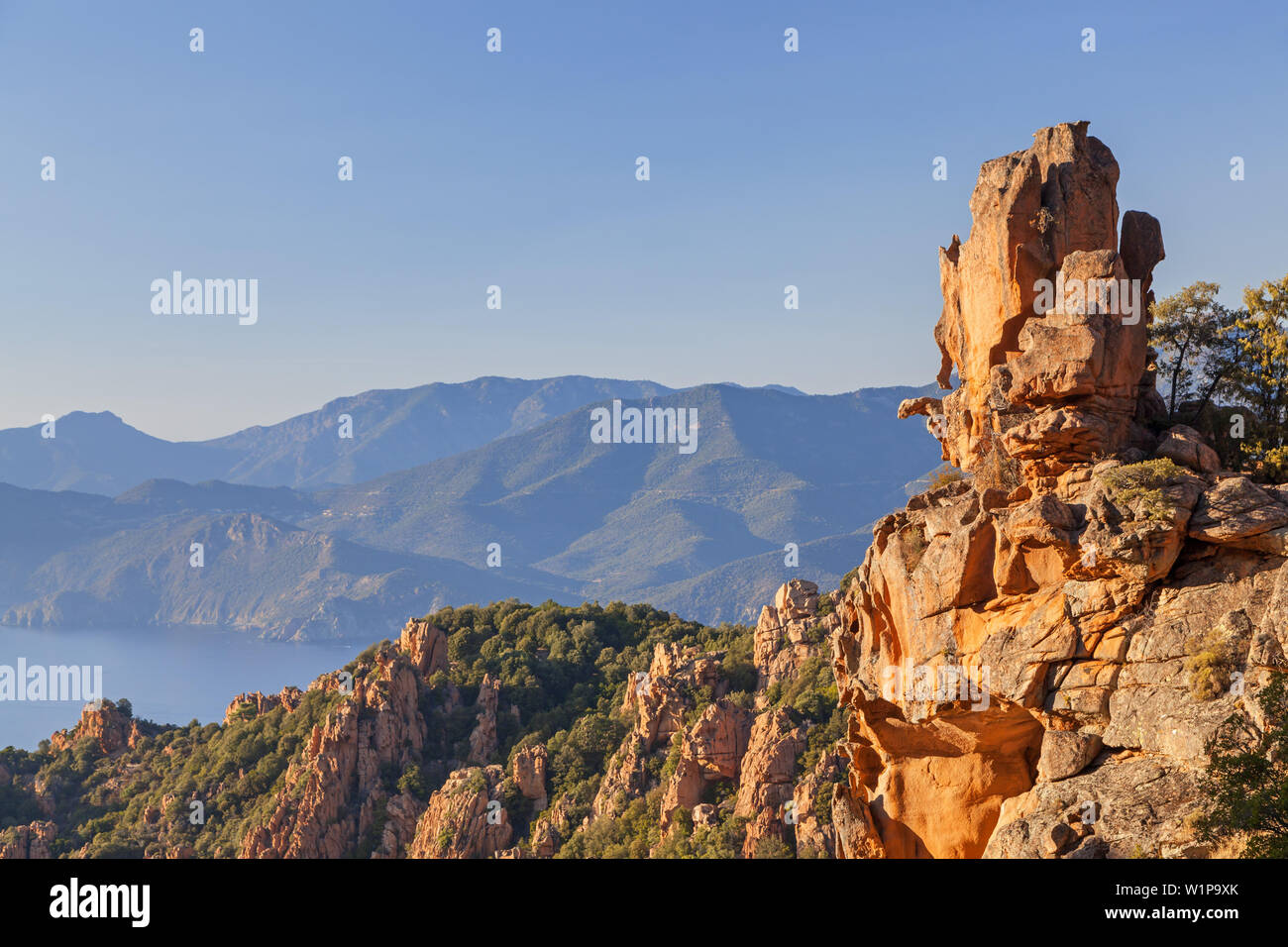 Dans le rock Tafoni remarquables Calanche, entre Porto et Piana, l'ouest de la Corse, Corse, France du Sud, France, Europe du Sud, Europe Banque D'Images