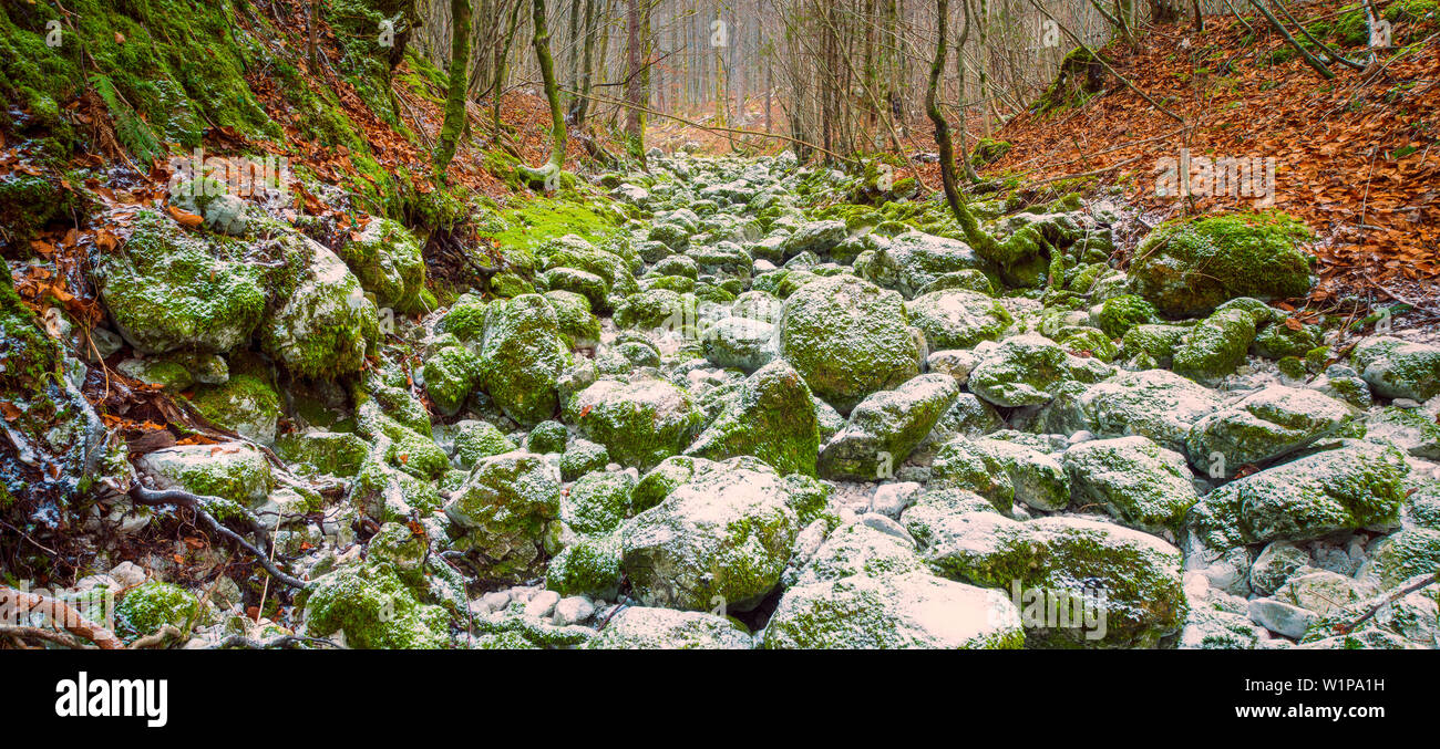 Neige fraîche dans le lit, Triglav Nationalparc, Slovénie Banque D'Images