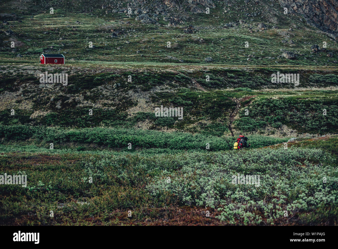 Randonneur sur une route à travers le Groenland, le Groenland, l'Arctique. Banque D'Images