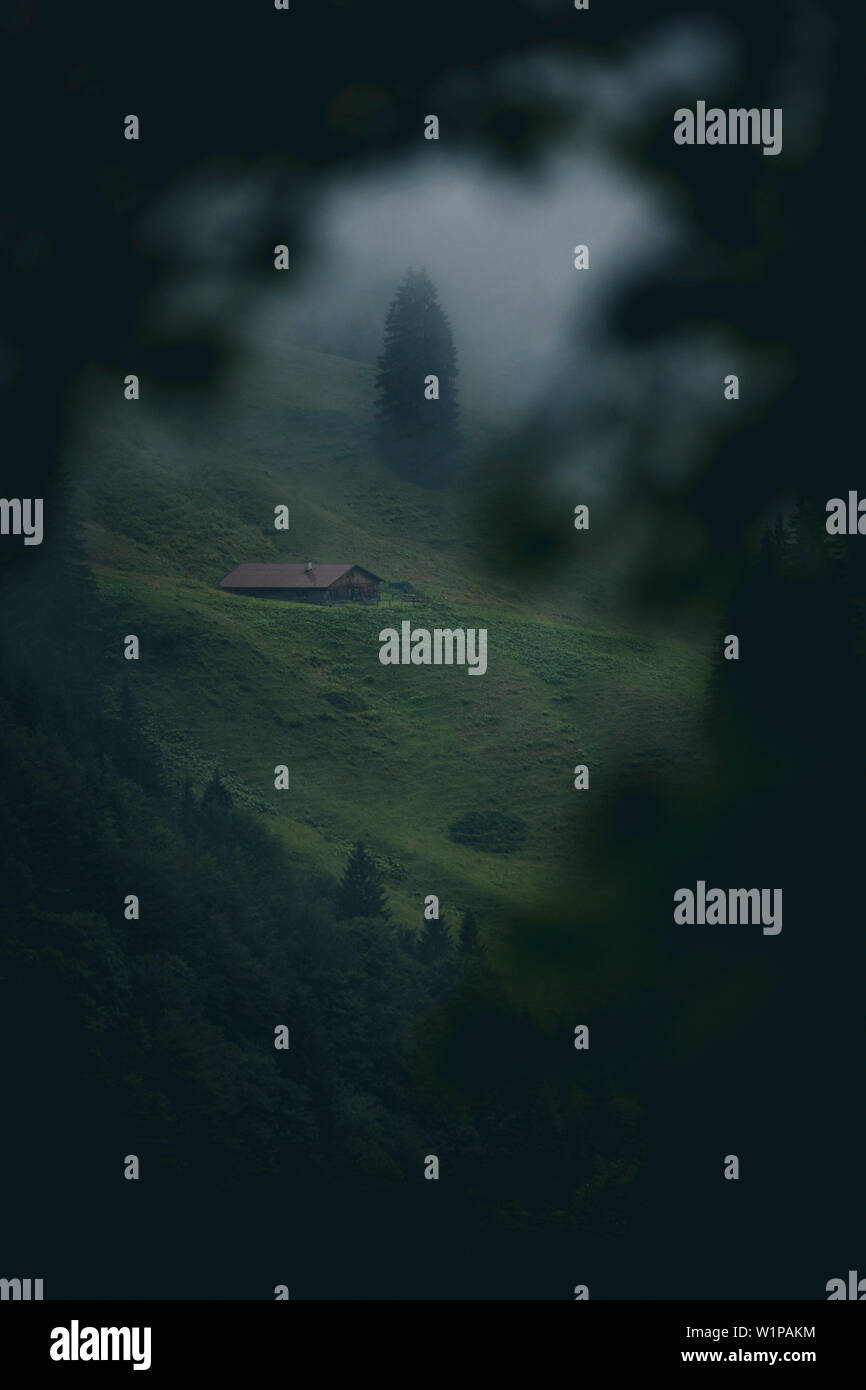 Refuge de montagne dans une forêt brumeuse, Alpenüberquerung, E5, 1er étage, de l'Allgäu Oberstdorf Sperrbachtobel, Allemagne Banque D'Images
