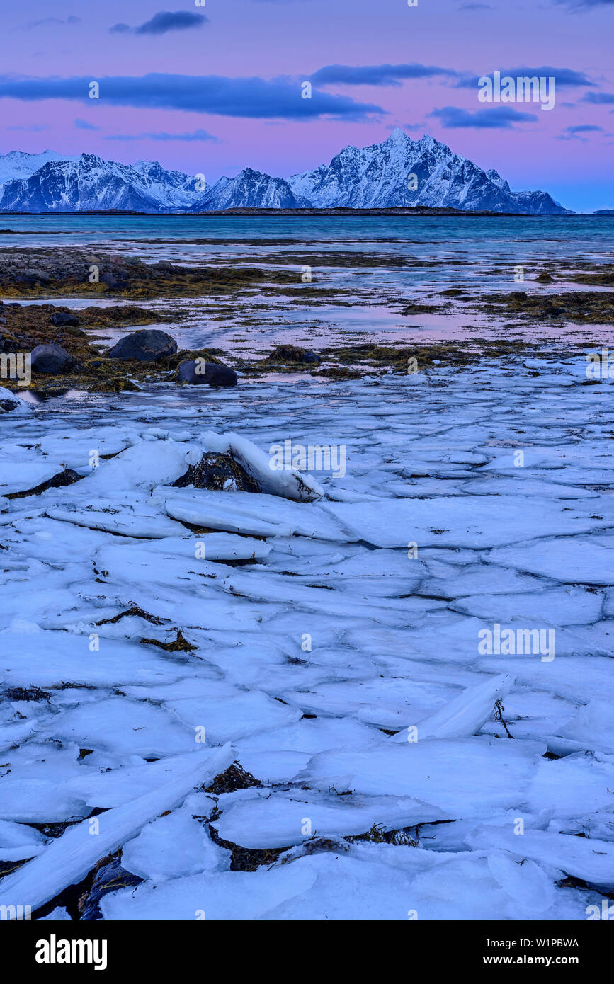 Plaque de glace avec les montagnes enneigées en arrière-plan, Lofoten, Nordland, Norvège Banque D'Images