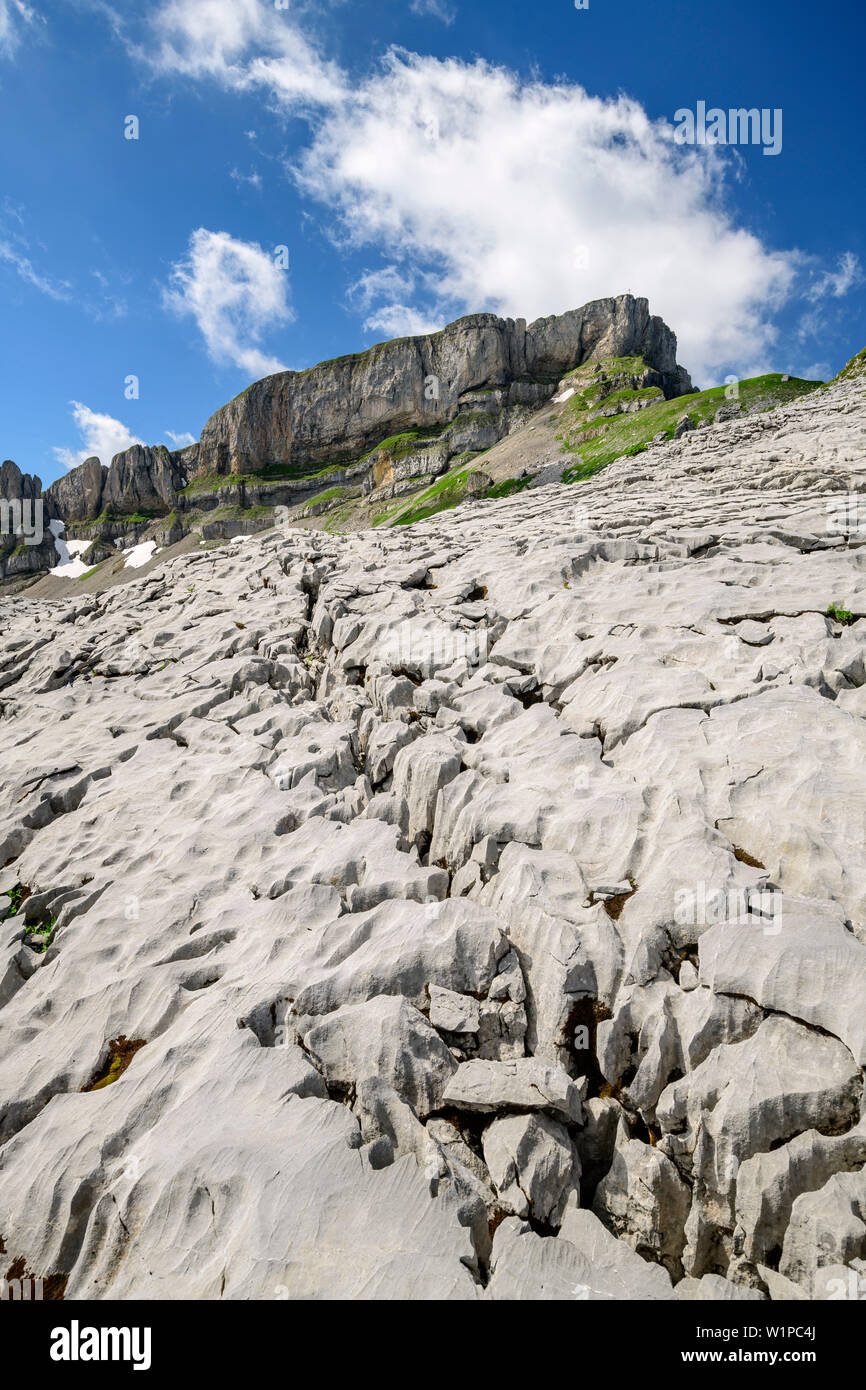 La formation karstique du plateau à Gottesackerplateau avec Hoher Ifen en arrière-plan, les Alpes, vallée de l'Allgaeu Walsertal, Vorarlberg, Autriche Banque D'Images