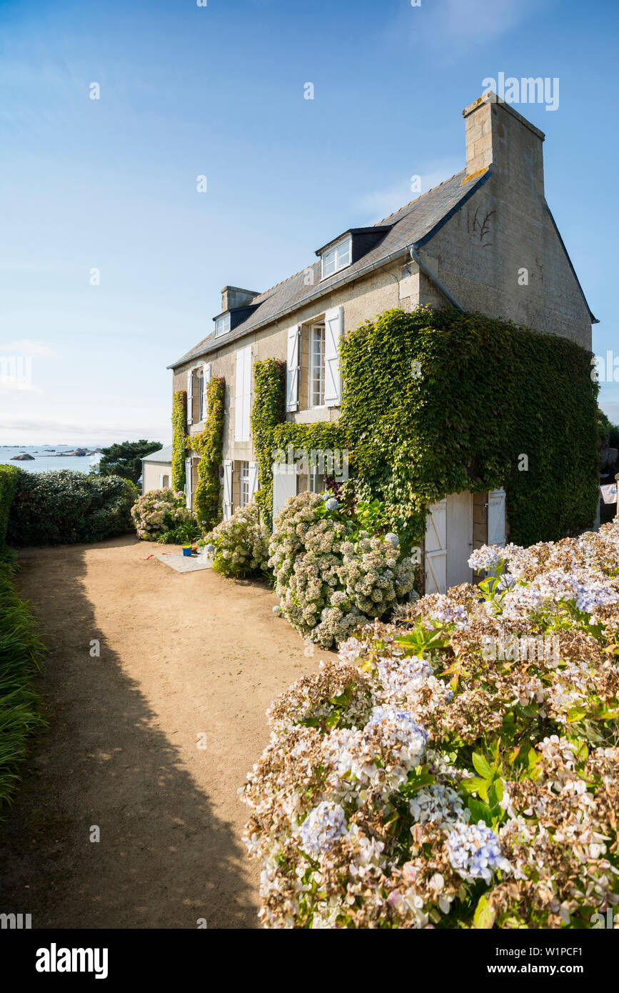 Maison en bord de mer, la Gouffre, Plougrescant, Côte de Granit Rose, Côtes d'Armor, Bretagne, France Banque D'Images