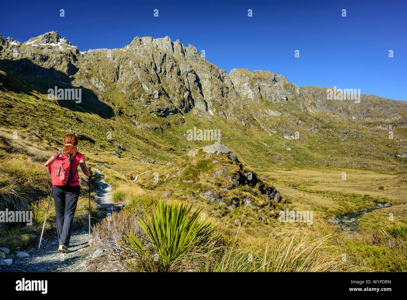 Femme de la randonnée à travers la vallée de montagne, Routeburn Track, grandes promenades, Fiordland National Park, l'UNESCO Welterbe Te Wahipounamu, Queenstown-Lake, District Banque D'Images