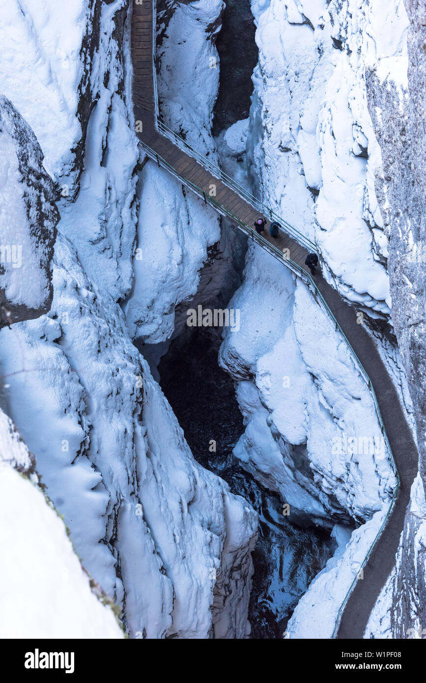 Allemagne, Bavière, Alpes, Oberallgaeu, Oberstdorf, paysage d'hiver, vacances d'hiver, vacances d'hiver, vacances en famille, la randonnée, le chemin de randonnée d'hiver en t Banque D'Images