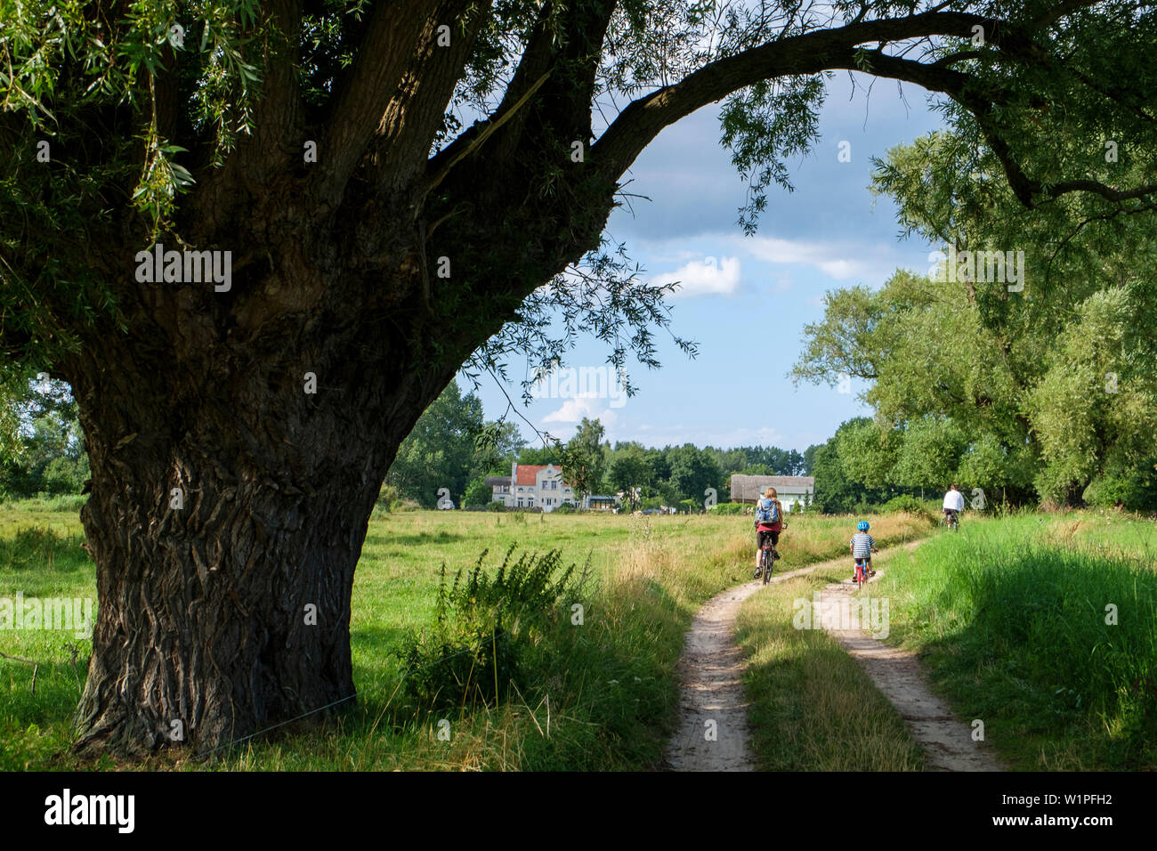 Mère avec enfant de bicyclette sur une route de terre, angle Lieper, Usedom, Ostseeküste, Mecklenburg-Vorpommern, Allemagne Banque D'Images