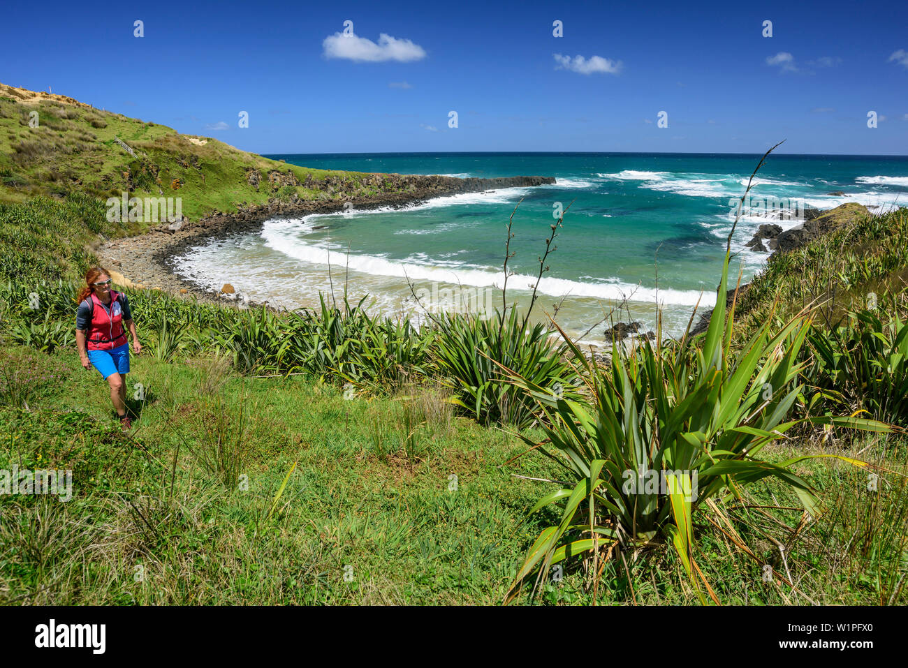 Randonnée femme Waimamaku sur piste côtière près de la côte, la piste côtière Waimamaku, Northland, North Island, New Zealand Banque D'Images