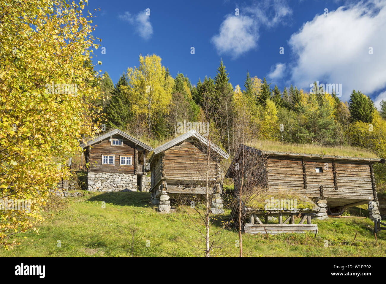 Vieille ferme en Svartdal, télémark, Østlandet, sud de la norvège, Norvège, Scandinavie, Europe du Nord, Europe Banque D'Images